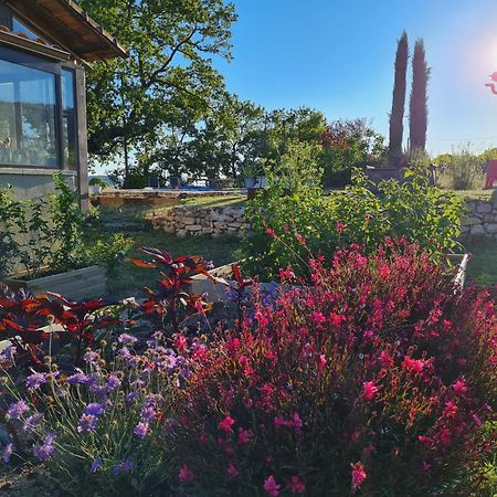 La Fontaine Des Noyers Villa Saint-Saturnin-d'Apt Kültér fotó